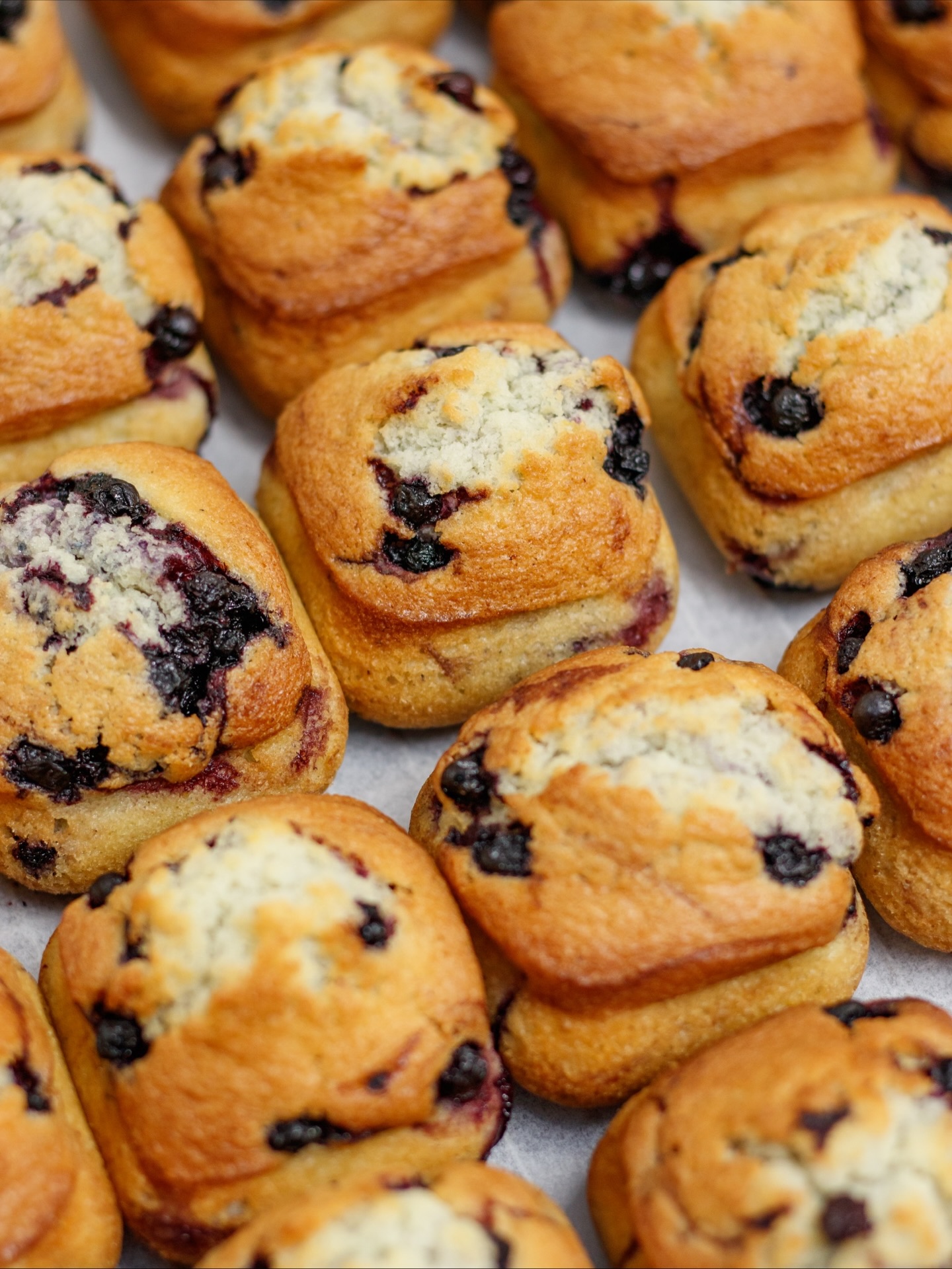Muffin Myrtilles