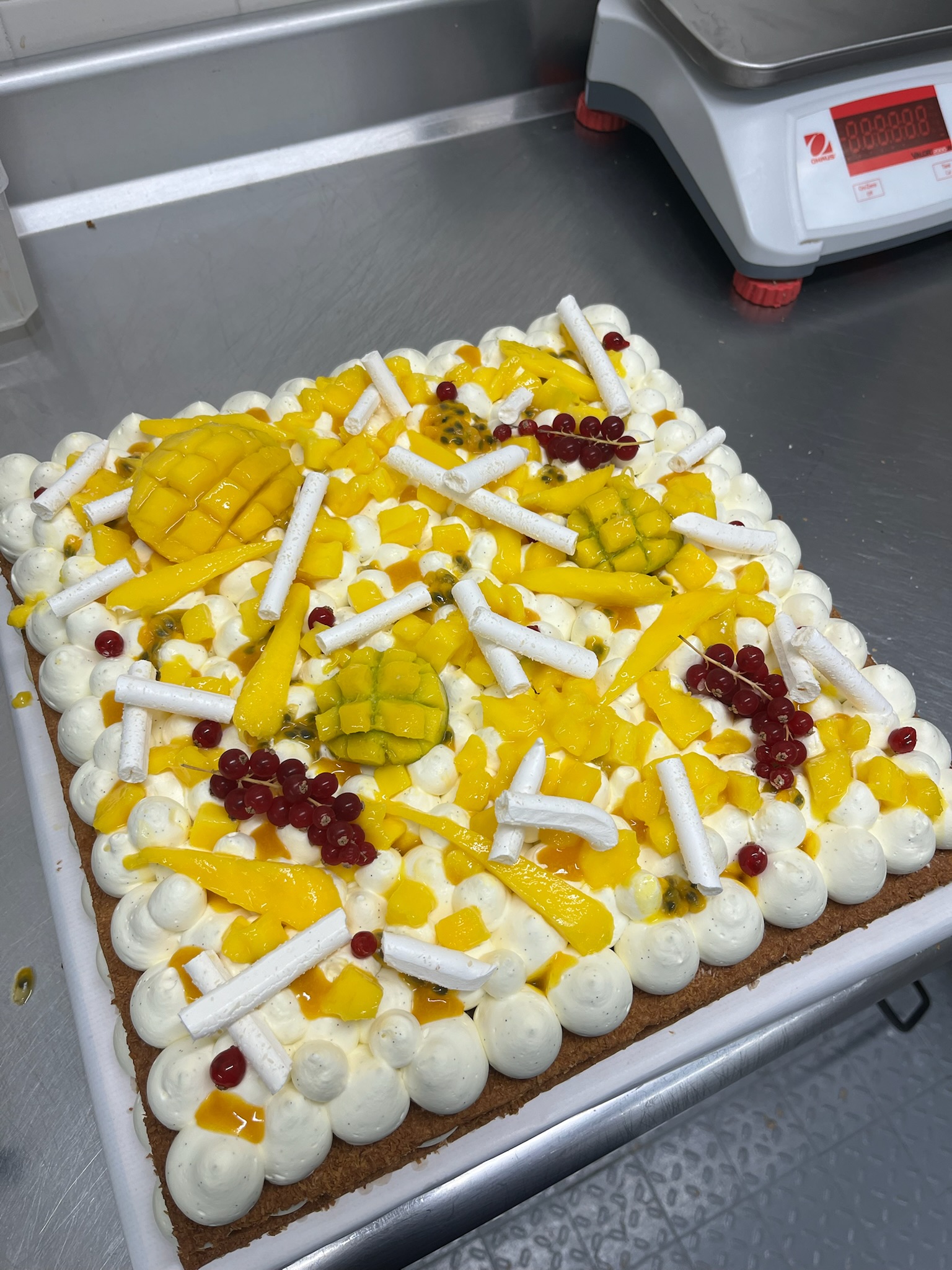 Gâteau fruit de saison 2