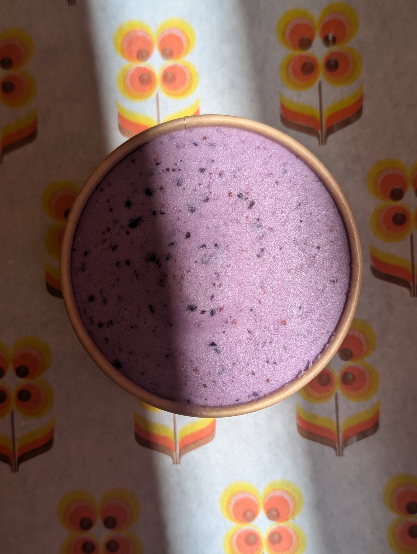 Glace skyr-myrtille 2